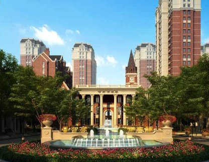 石家(jiā)莊智高(gāo)常春藤